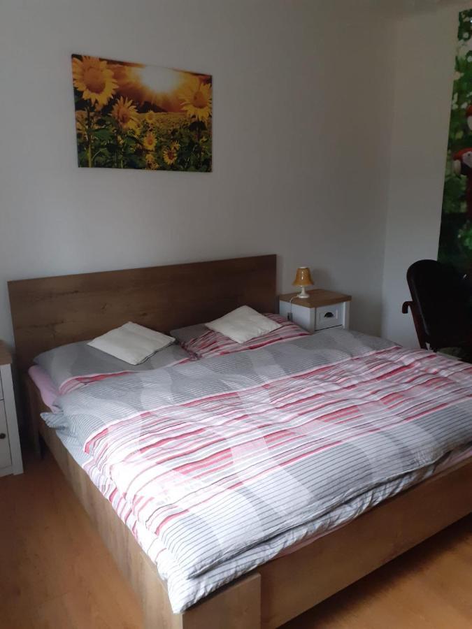 Apartman Ema Sloup  Екстер'єр фото